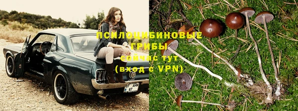 2c-b Абинск