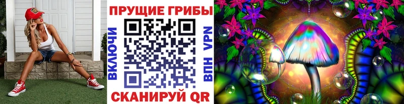 Псилоцибиновые грибы Psilocybine cubensis купить закладку Подпорожье